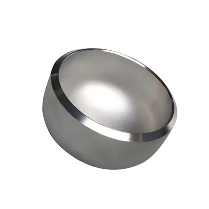 Sanitary Stainless Steel End Cap for Medical and Pharmaceutical Industries