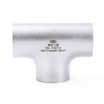 ISO 304 316L Pipe Fitting Butt Welding Pipe Sand Rolling Reducing Tee